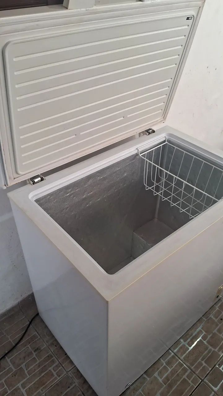 Frezer Philco 199l - Foto 4