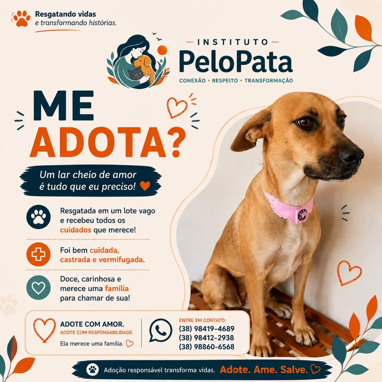 Adote!