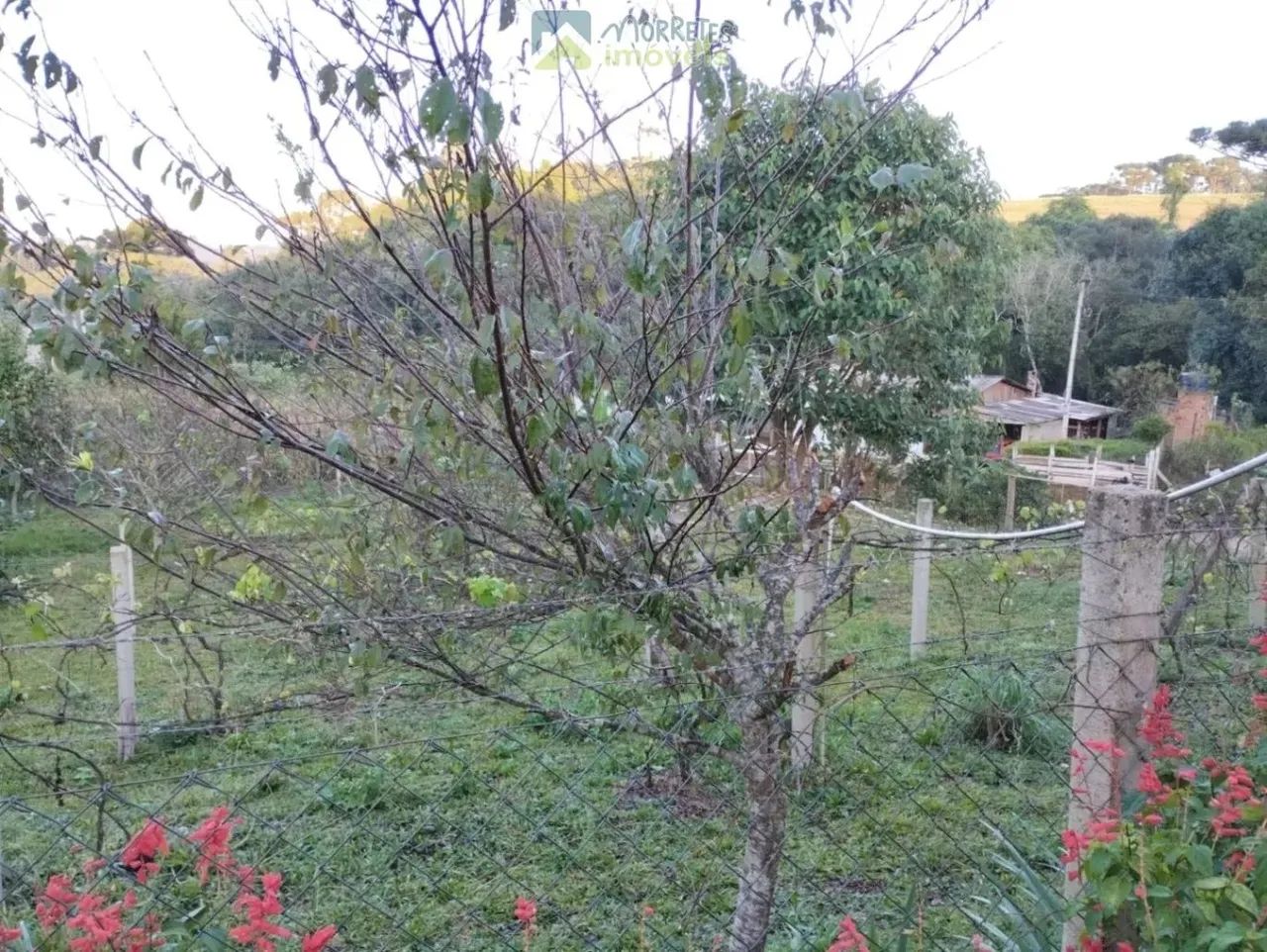 Terreno / Lote - Foto 2