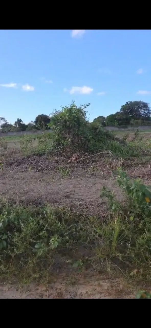 Lote  - Foto 4