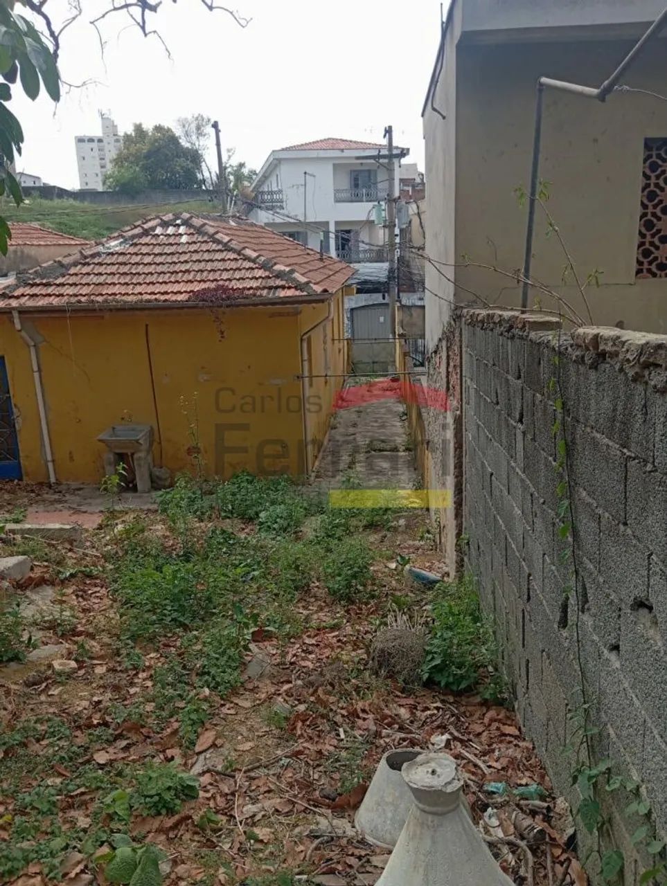 Terreno no Imirim - Foto 4