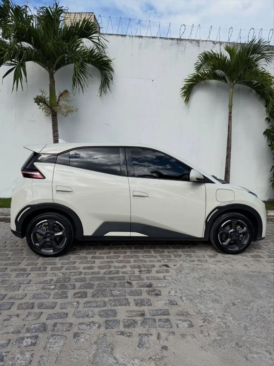 BYD Dolphin Mini (Elétrico) 2025 - Foto 3