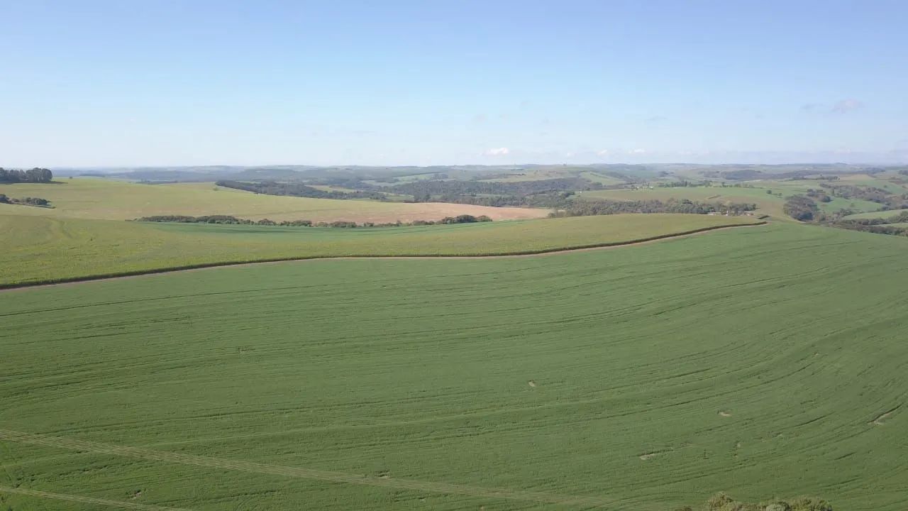 Fazenda  - Foto 3