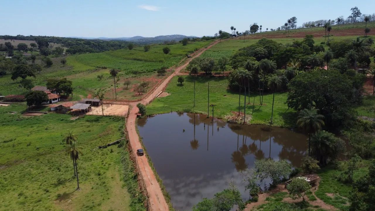 Fazendinhas na divisa de florestal  - Foto 3