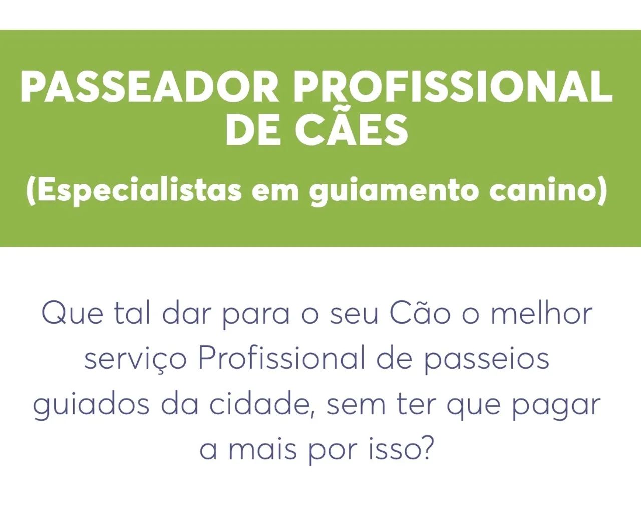 PASSEADOR DE CÃES - Foto 2