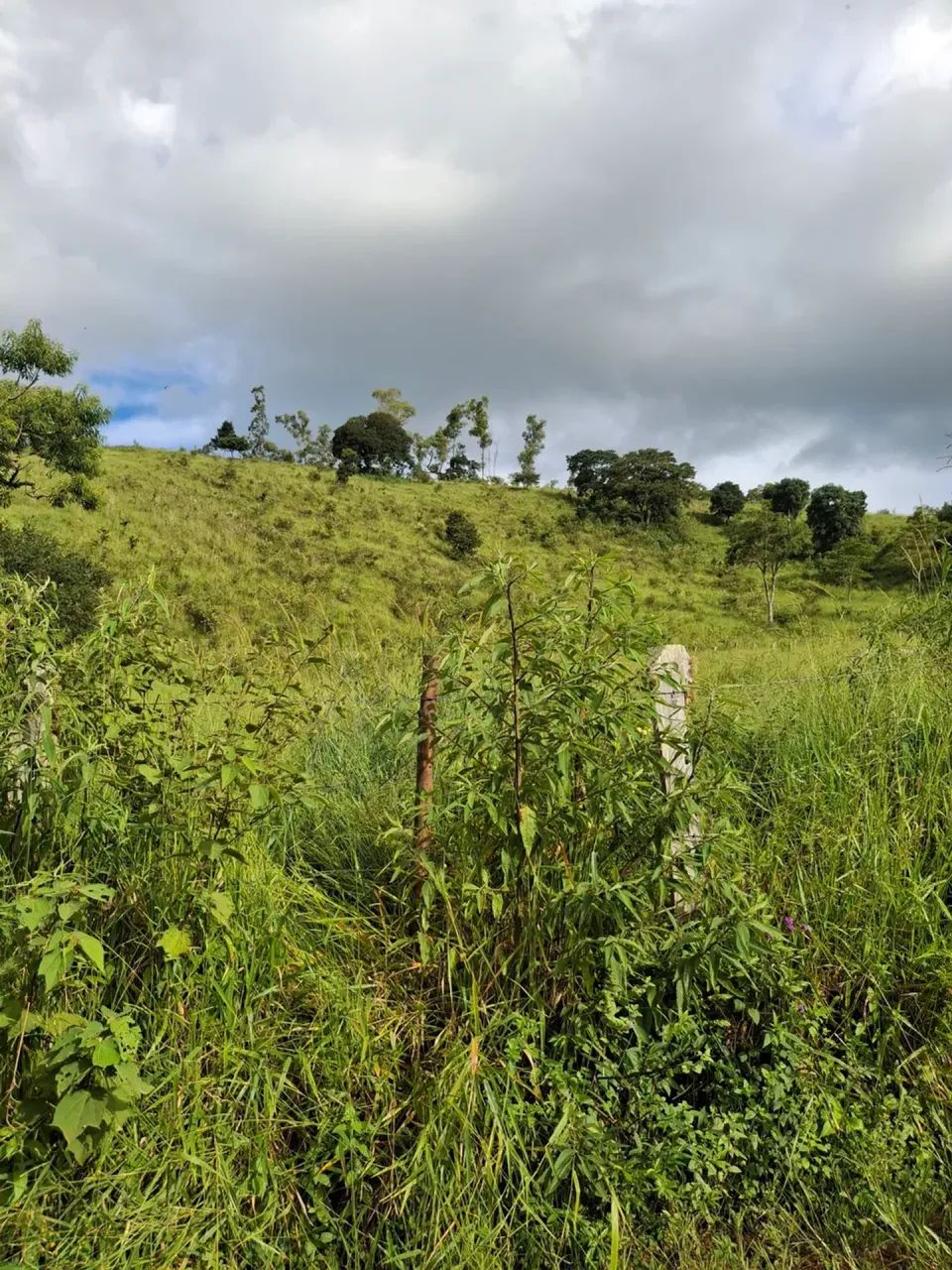 Paraíso da serra em Cambuí