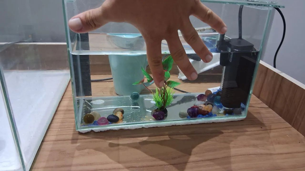 Vendo aquário de 10 litros em excelente estado 