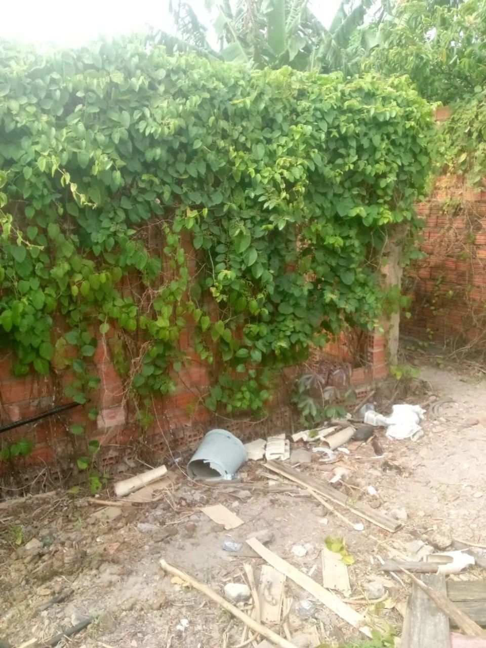 Vendo terreno de 27 de frente e 25 de fundo  - Foto 4