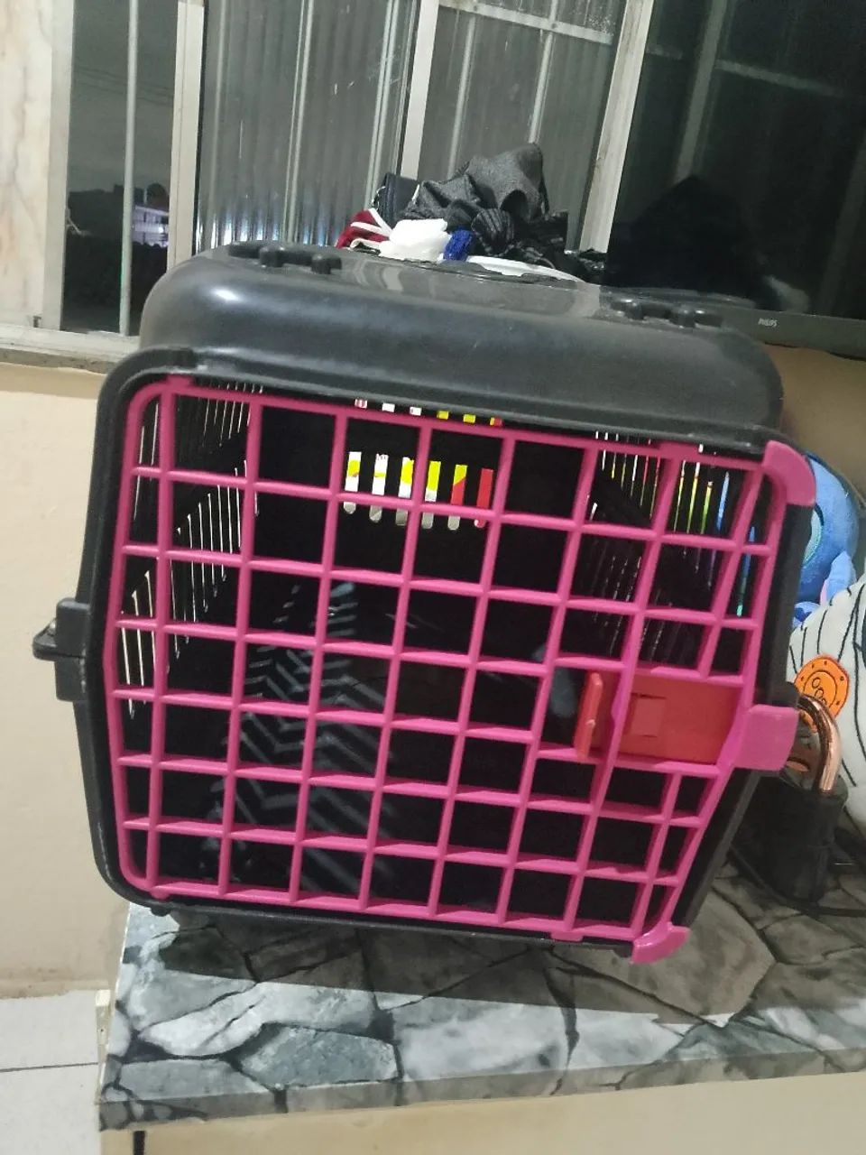 Trasporte de Pet