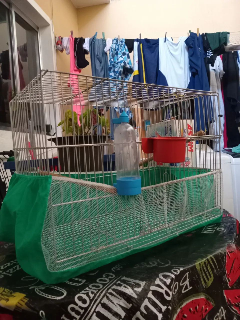 Gaiola Média (para aves pequenas)