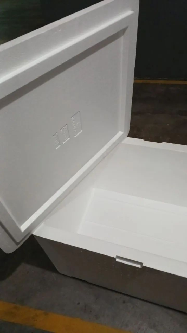 Caixa de isopor - Foto 2
