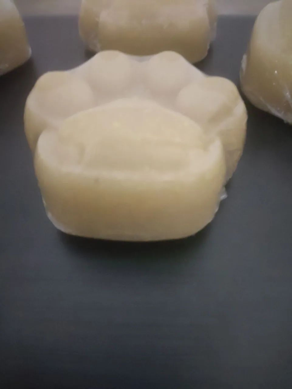 Pawstected dermo cosmético pet  - Foto 3