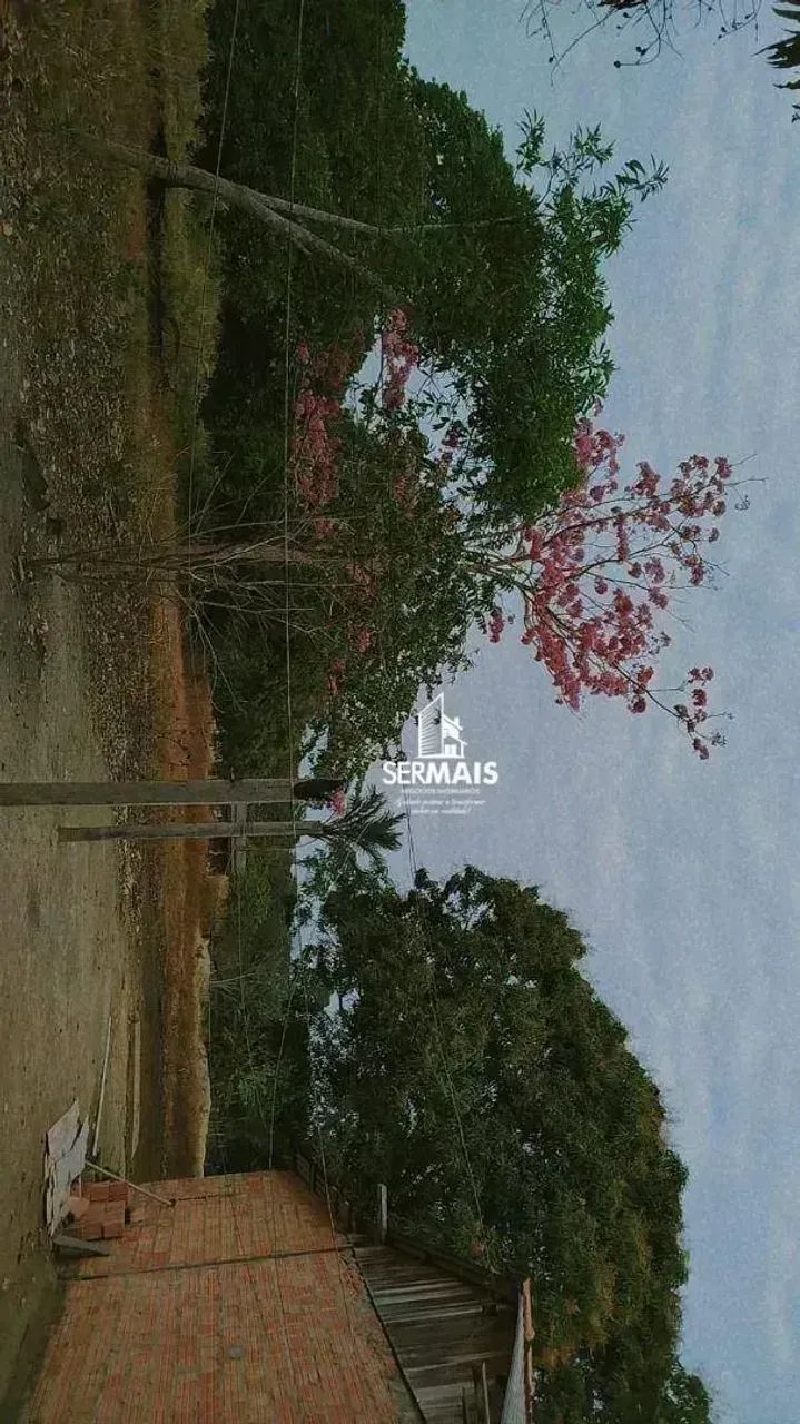 Chácara à Venda  R$ 250.000,00 - Foto 3