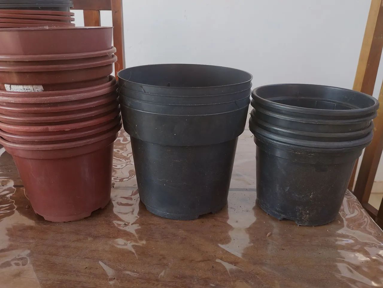 Vasos de plantas - Foto 4