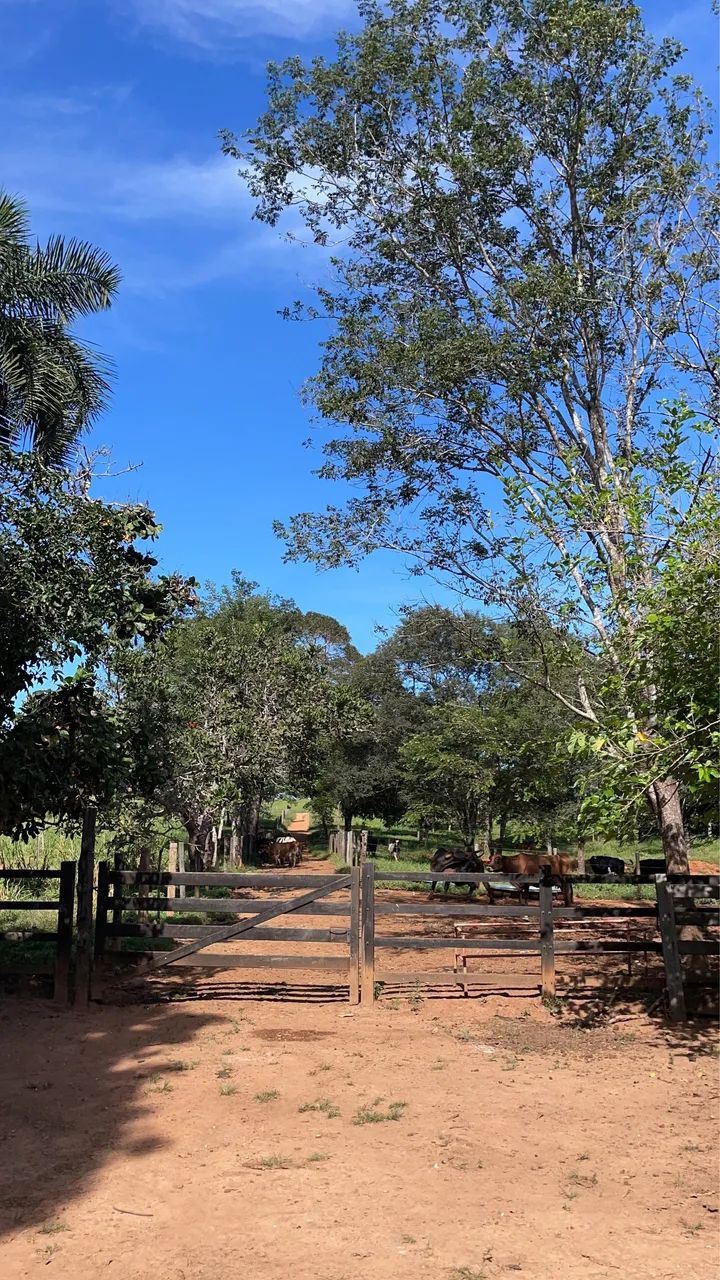 Fazendinha  - Foto 4