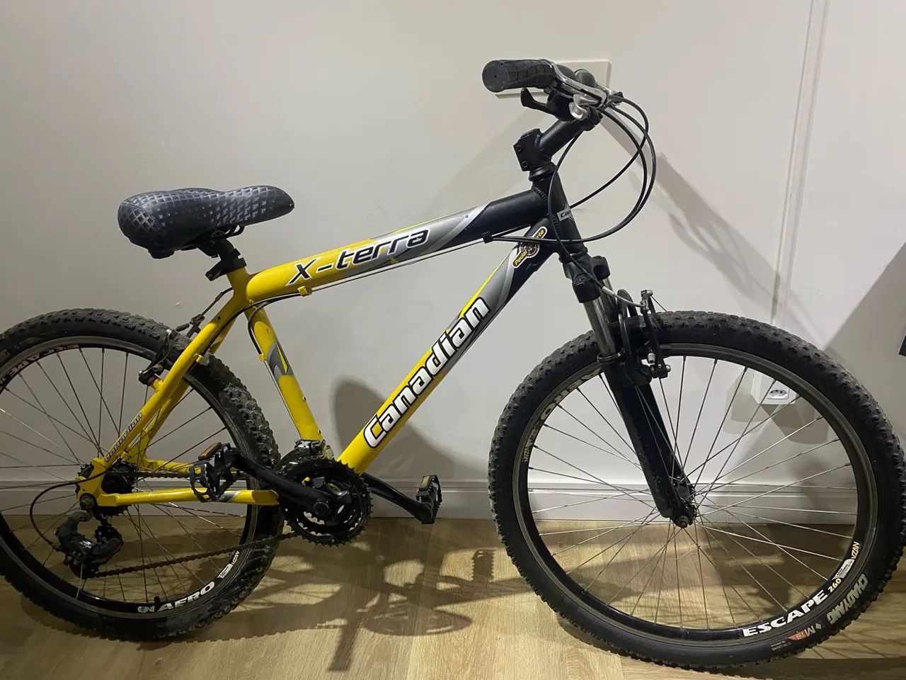 Bicicleta 