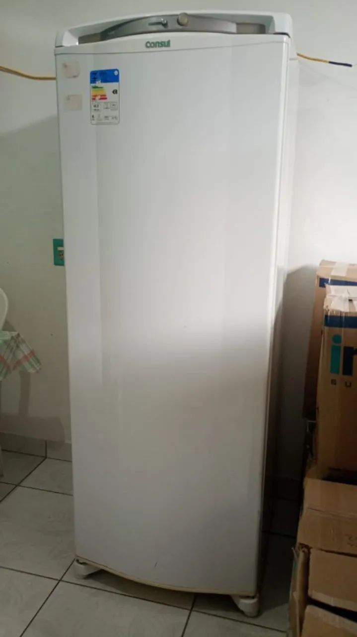 Freezer vertical