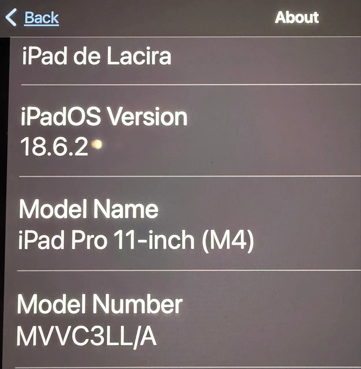 iPad Pro M4 512 GB + Apple Pencil Pro - Foto 2