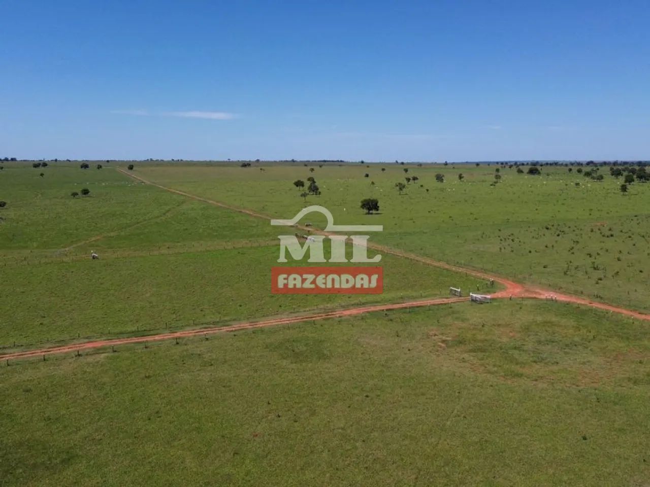 Fazenda 2.000 Hectares Nova Alvorada - MS - Foto 2