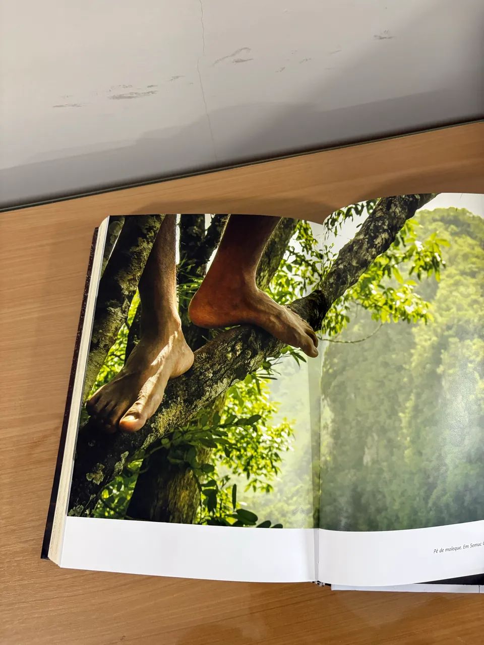 Livro FÉ LATINA - Foto 3