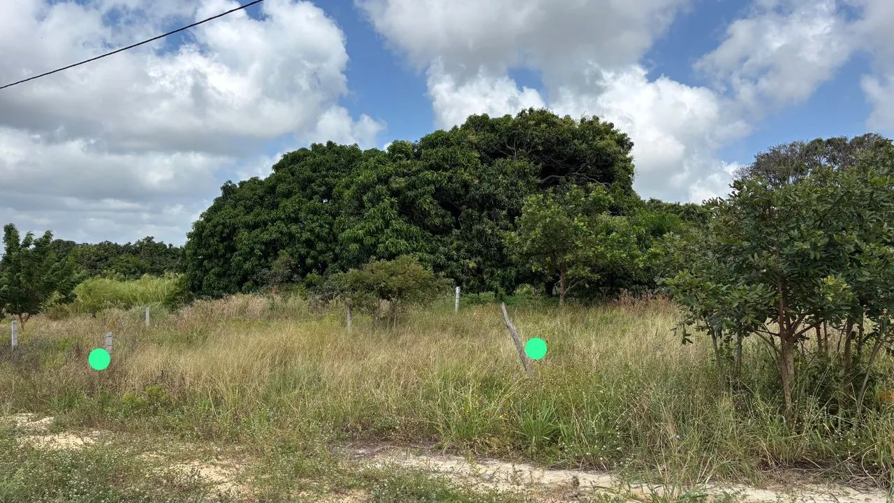 Lote para venda  - Foto 5