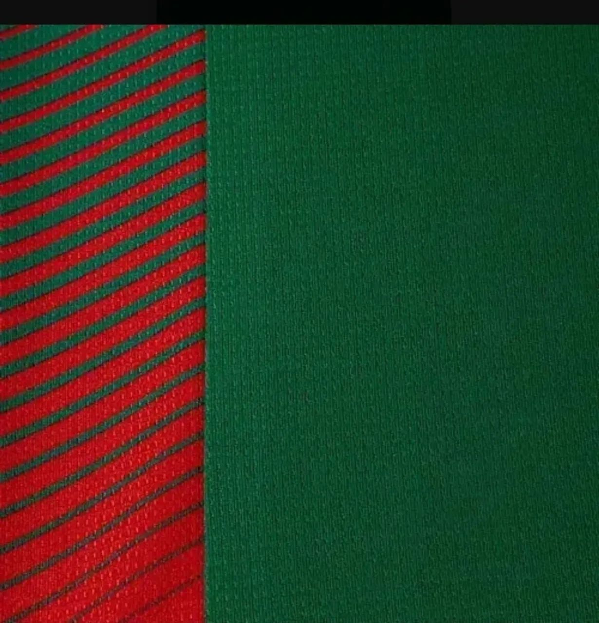 Camisa do Palmeiras 2026 - Foto 4