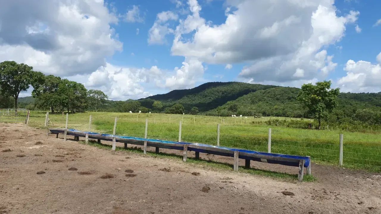 Fazenda - Crixás (GO)