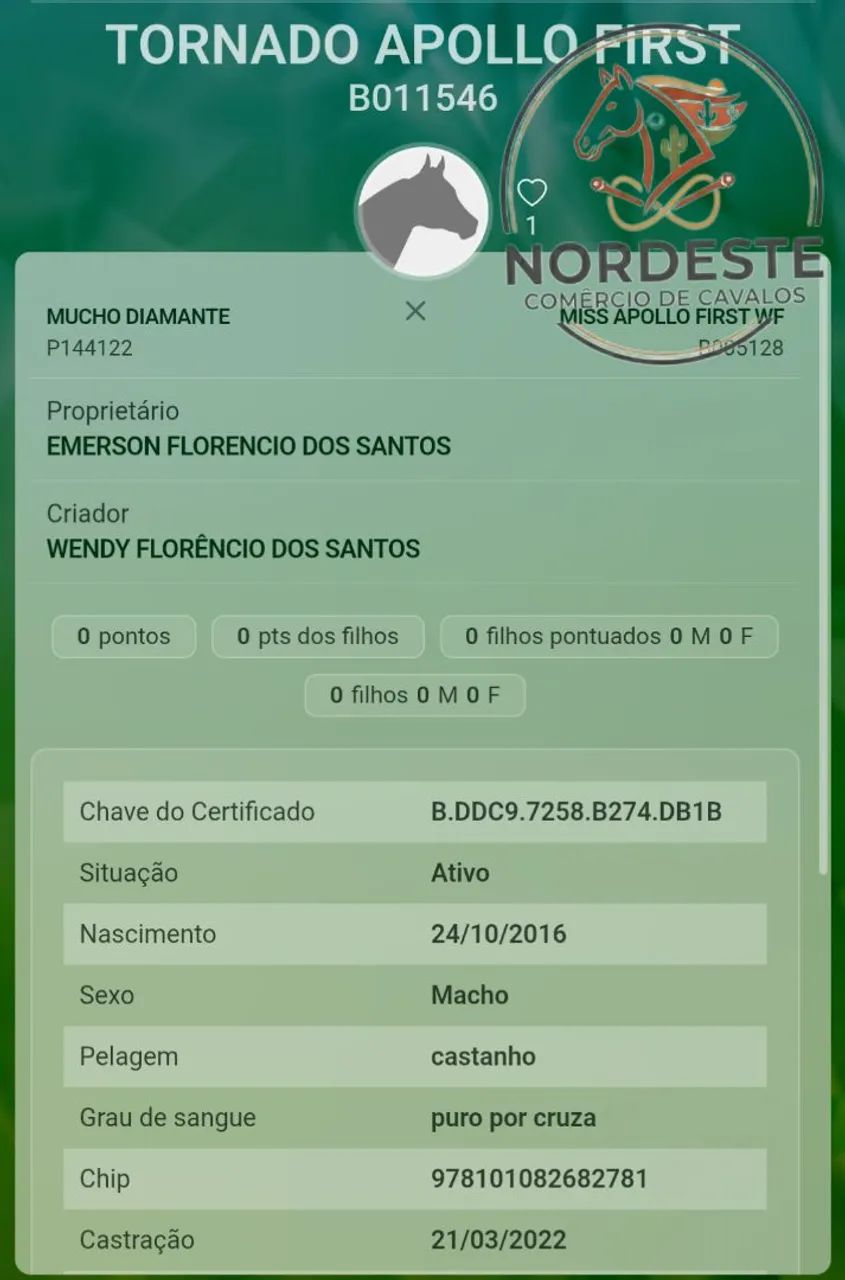 Cavalo de Direita Pronto e Puro - Foto 4