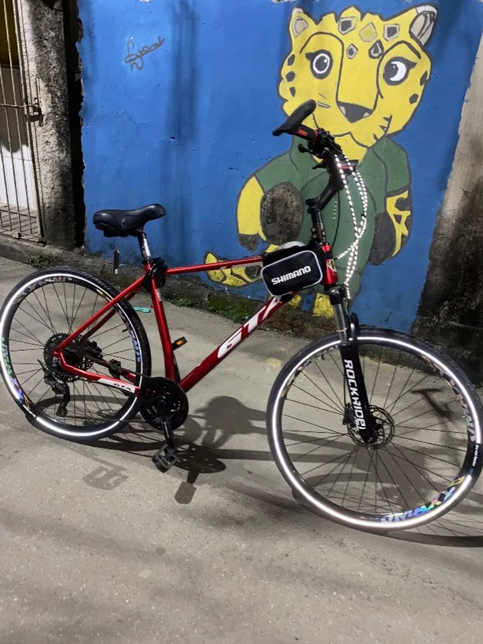 Bicicleta 