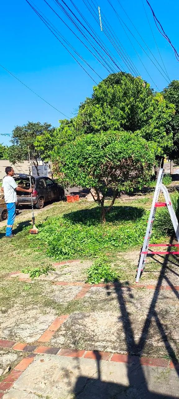 Corte de árvores jardinagem  - Foto 2