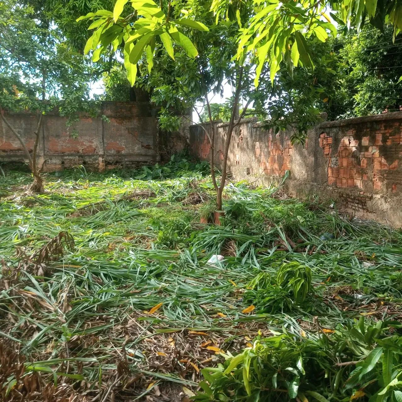 Terreno com 1121 m², bem localizado no Boa Esperança, Cuiabá - MT - Foto 4