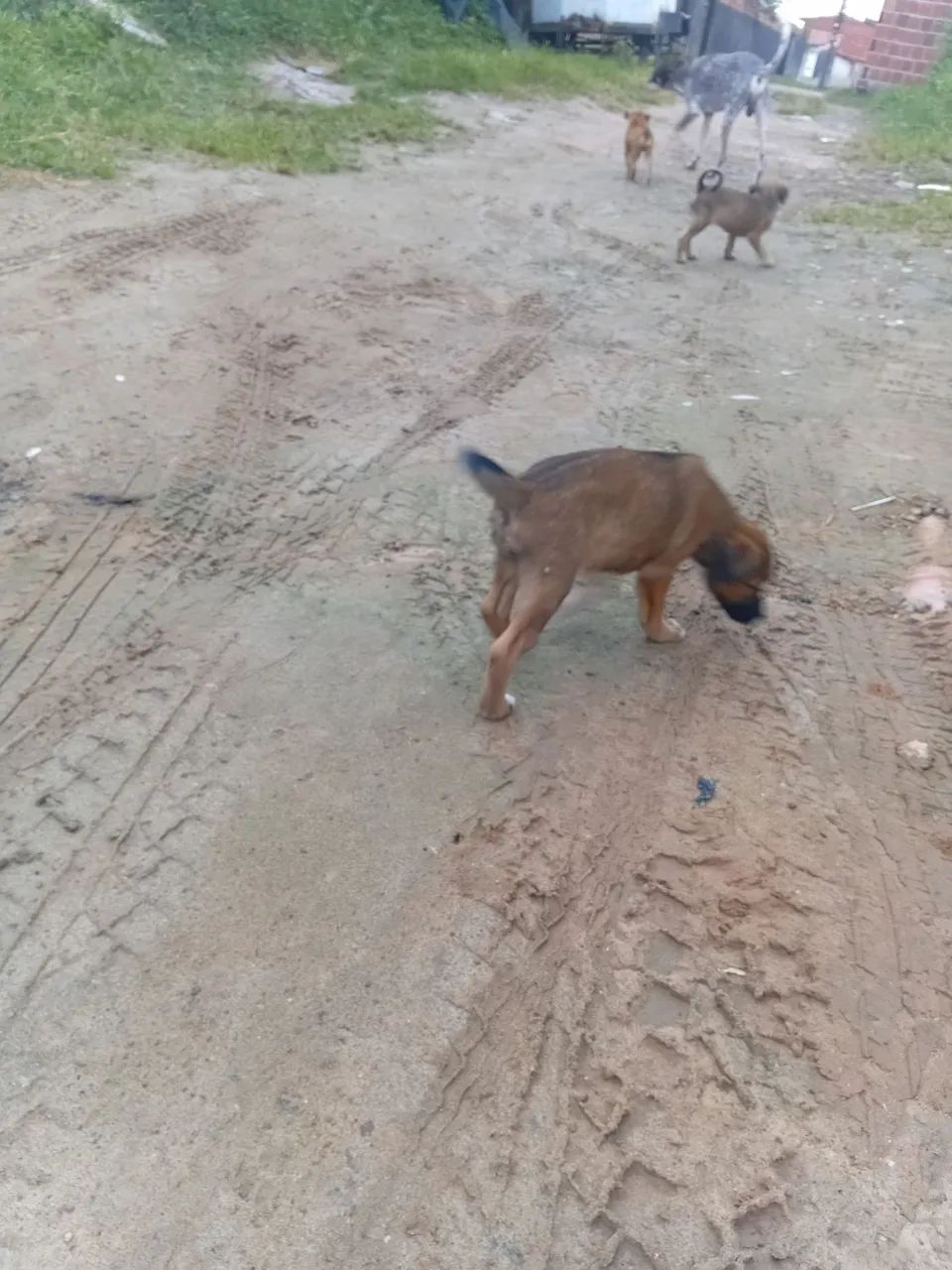 Pra doação  - Foto 2