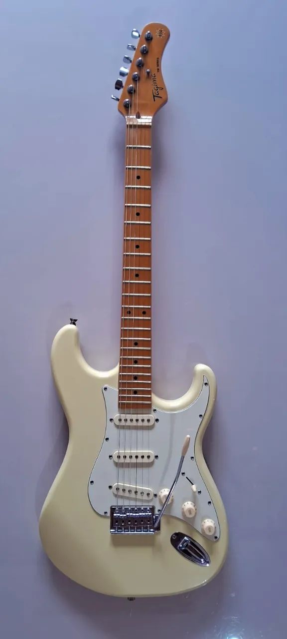 Stratocaster Tg530