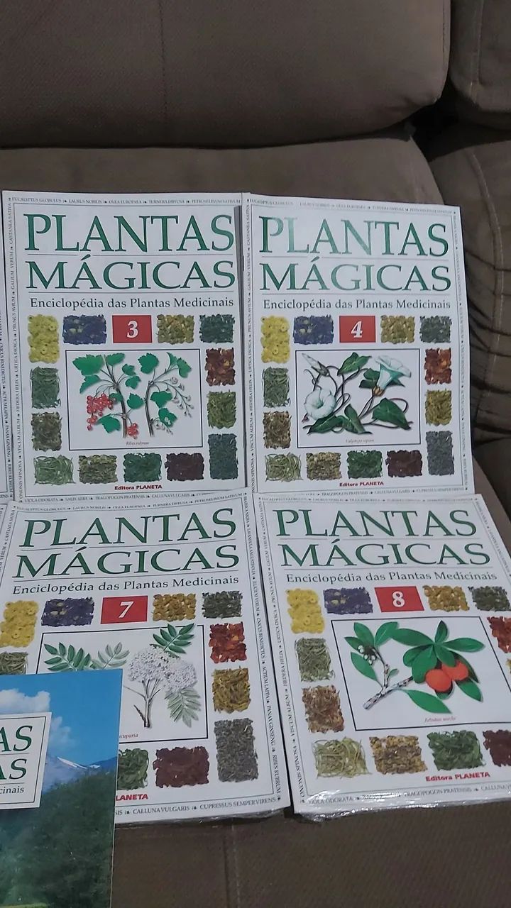  PLANTAS MÁGICAS - COLEÇÃO COMPLETA | 8 FASCÍCULOS + LIVRO - Foto 3