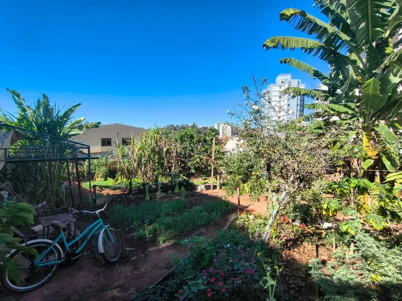Imóvel com 720 metros quadrados ótima localização - Foto 5