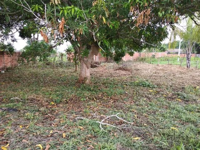OTIMO LOTE NA VILA ACRE, 25m X 40m  - Foto 2