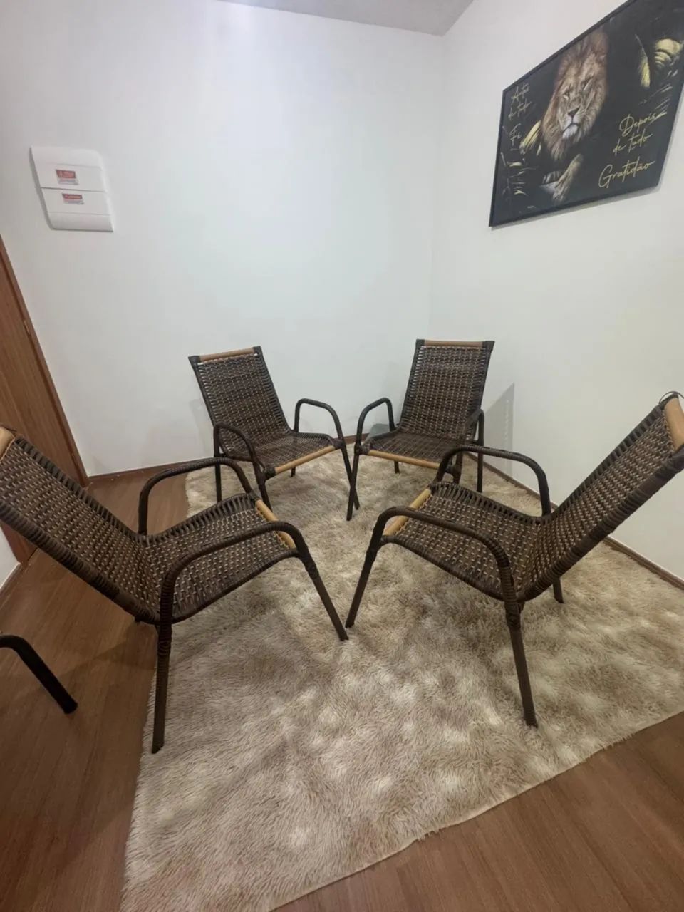Cadeiras de fibra 