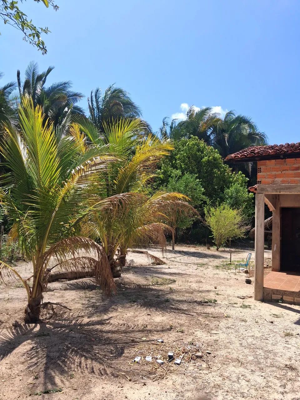 Sitio próximo à lagoa Alegre  - Foto 4
