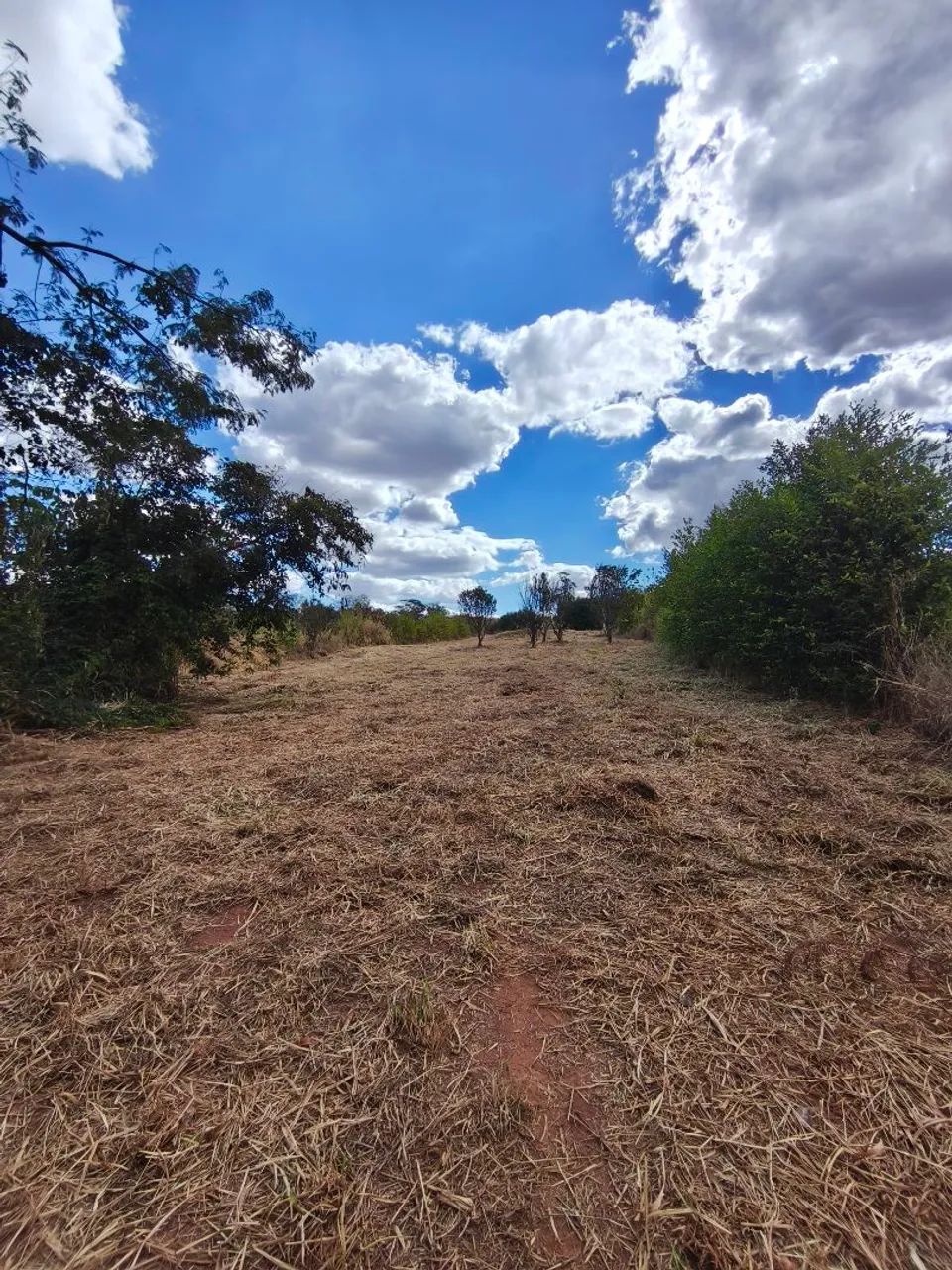 Chácara 4.000 M2, córrego, Nerópolis  - Foto 5