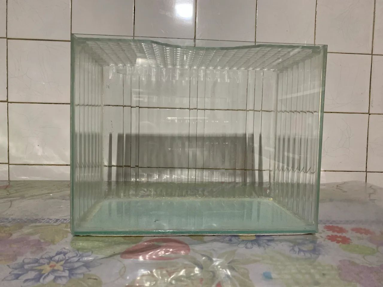 Vendo 2 aquários juntos de uma vez - Foto 2