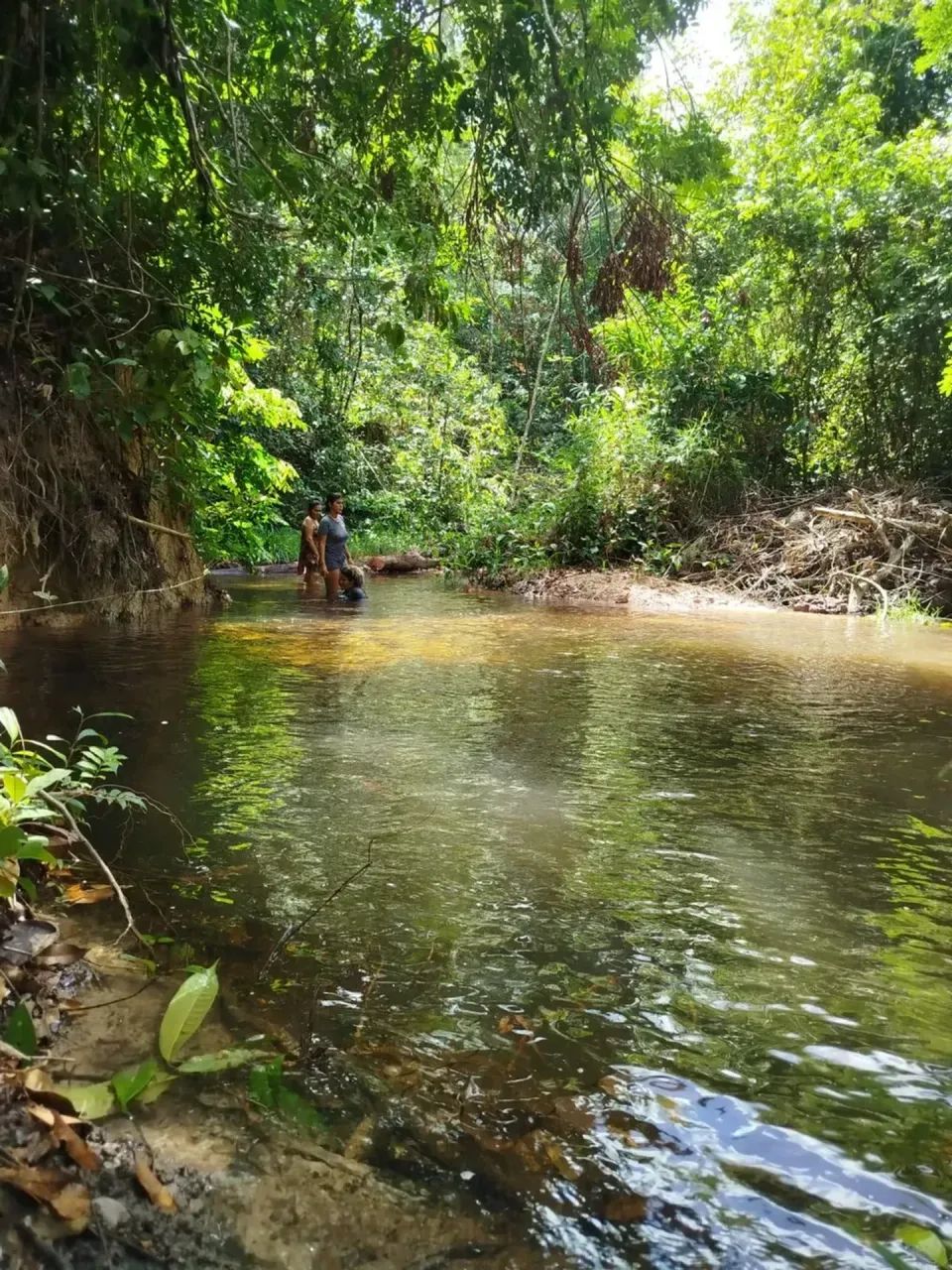 PROPRIEDADE RURAL À VENDA  MORROS/MA - Foto 4