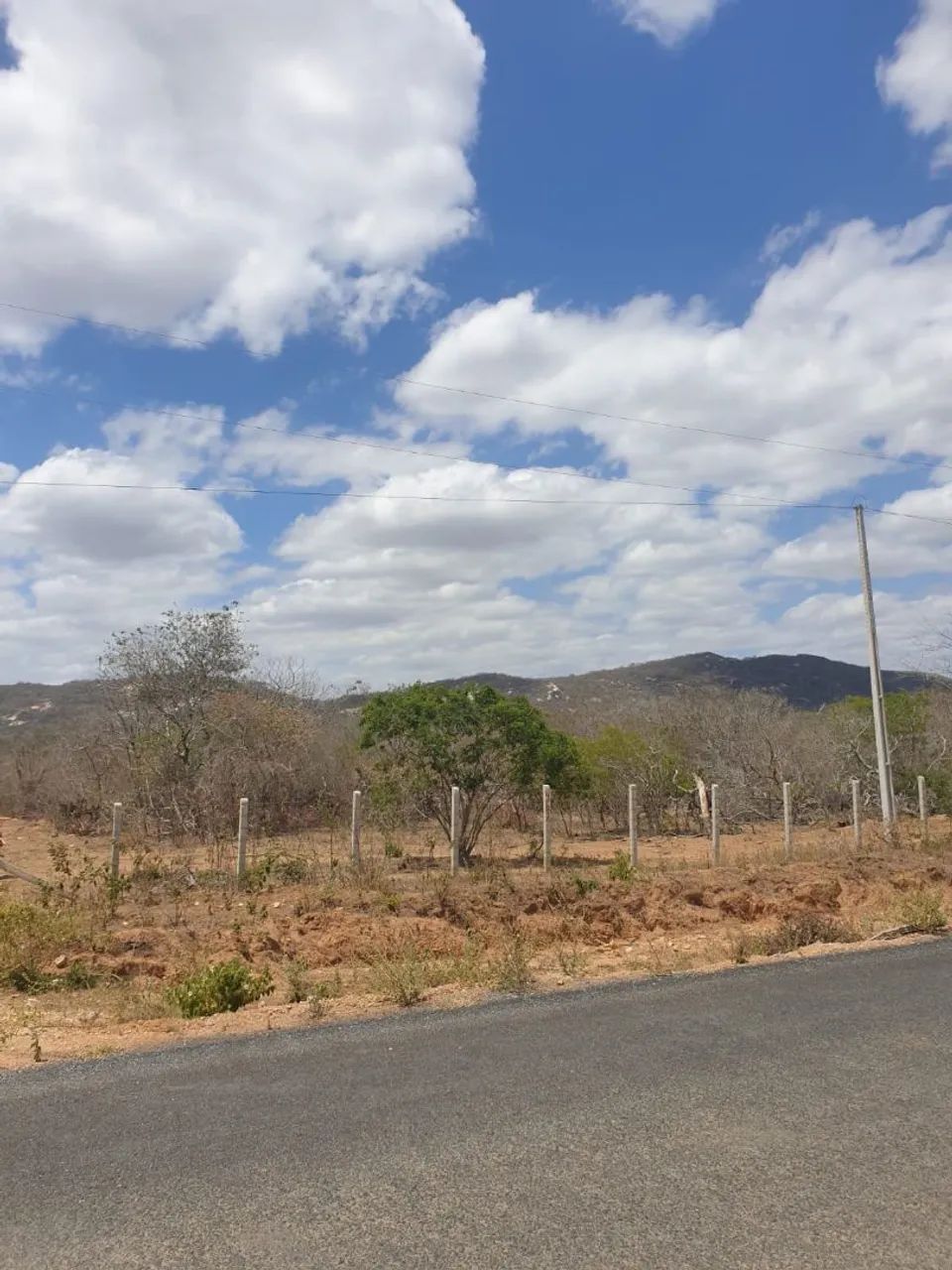 Venda de lotes  - Foto 2