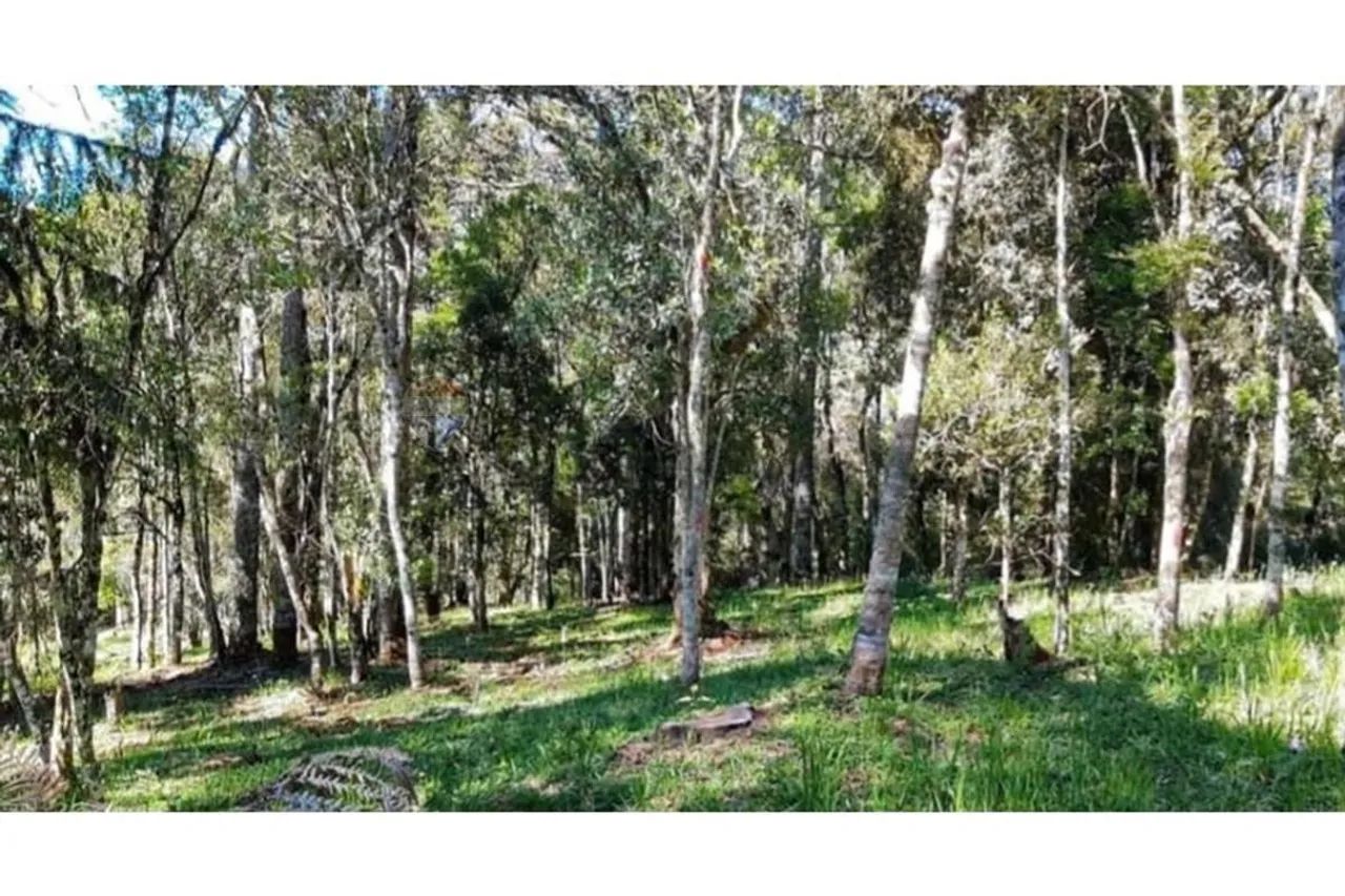 Terreno no Centro de Bom Retiro - Imperdível! - Foto 3