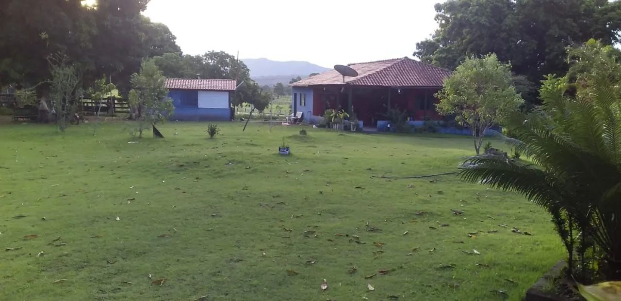 Vendo chácara- Agrovila das palmeiras  - Foto 4
