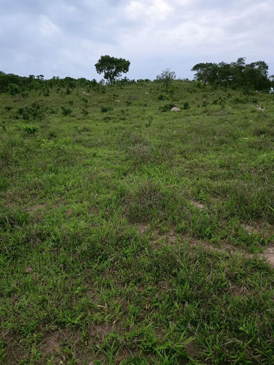 Chácara em anicuns