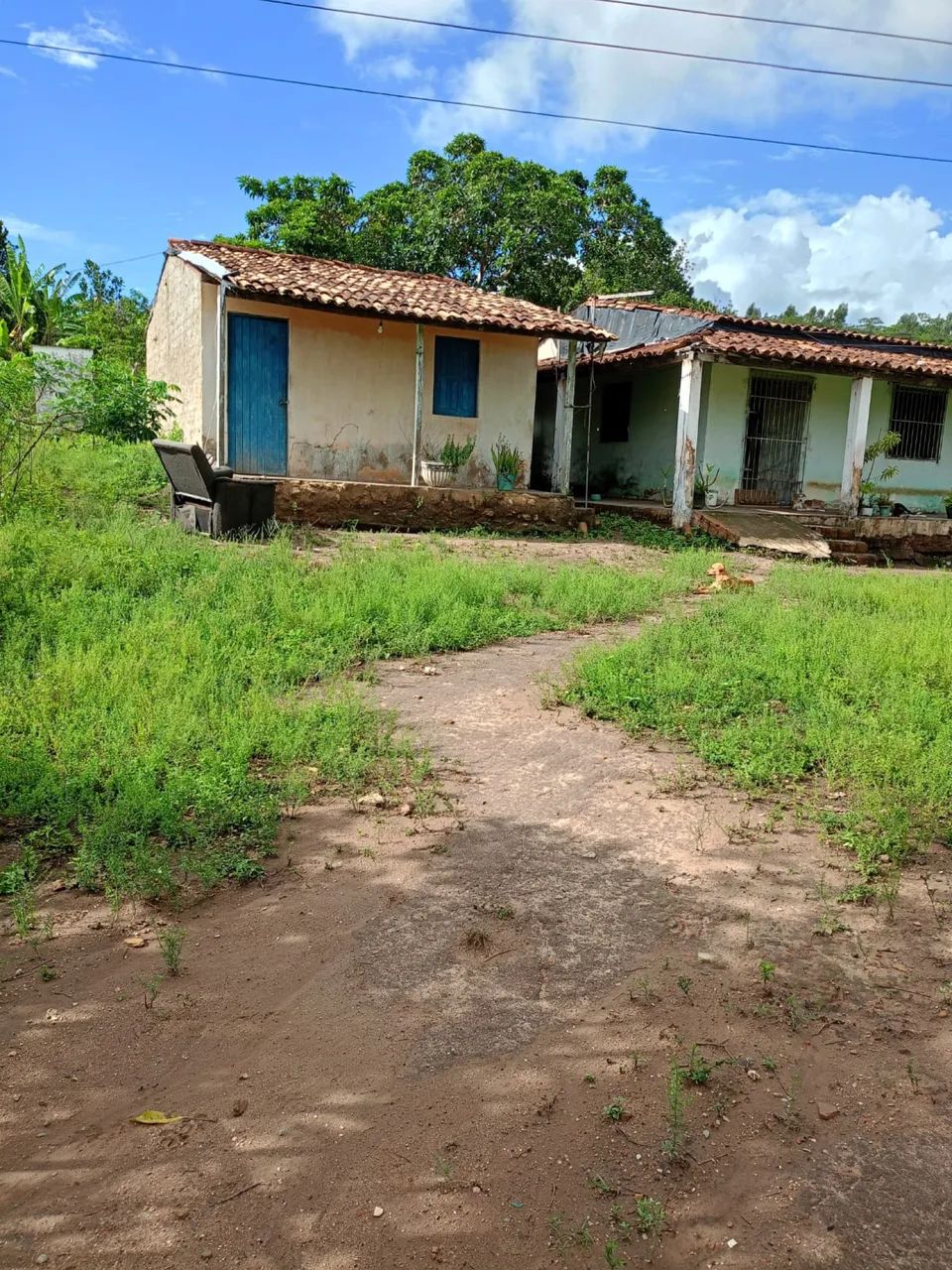 Vendo sítio de malhador tábua  - Foto 3