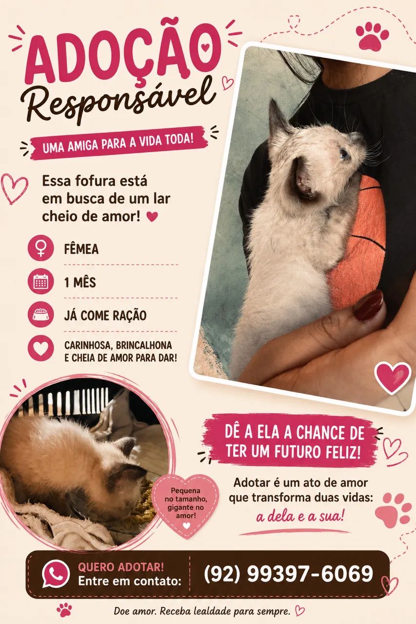 Doação responsável 