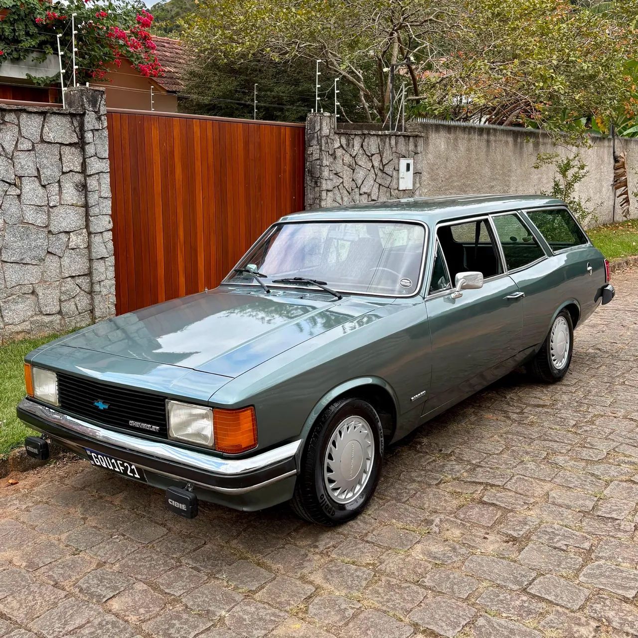 Chevrolet Caravan L/sl/s/ss 2.5/4.1/4.2 1981