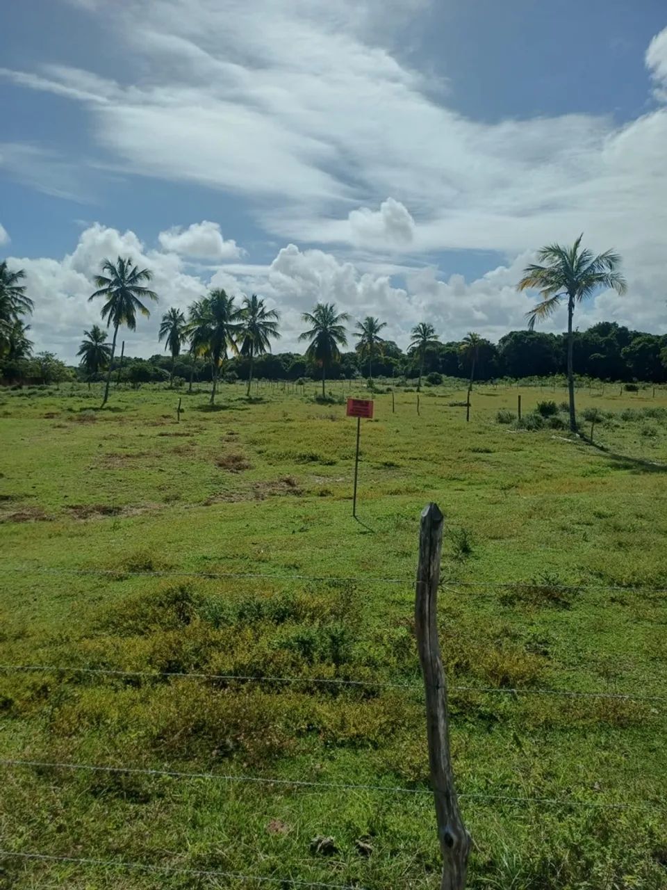 Terreno na Praia do Saco - Foto 3
