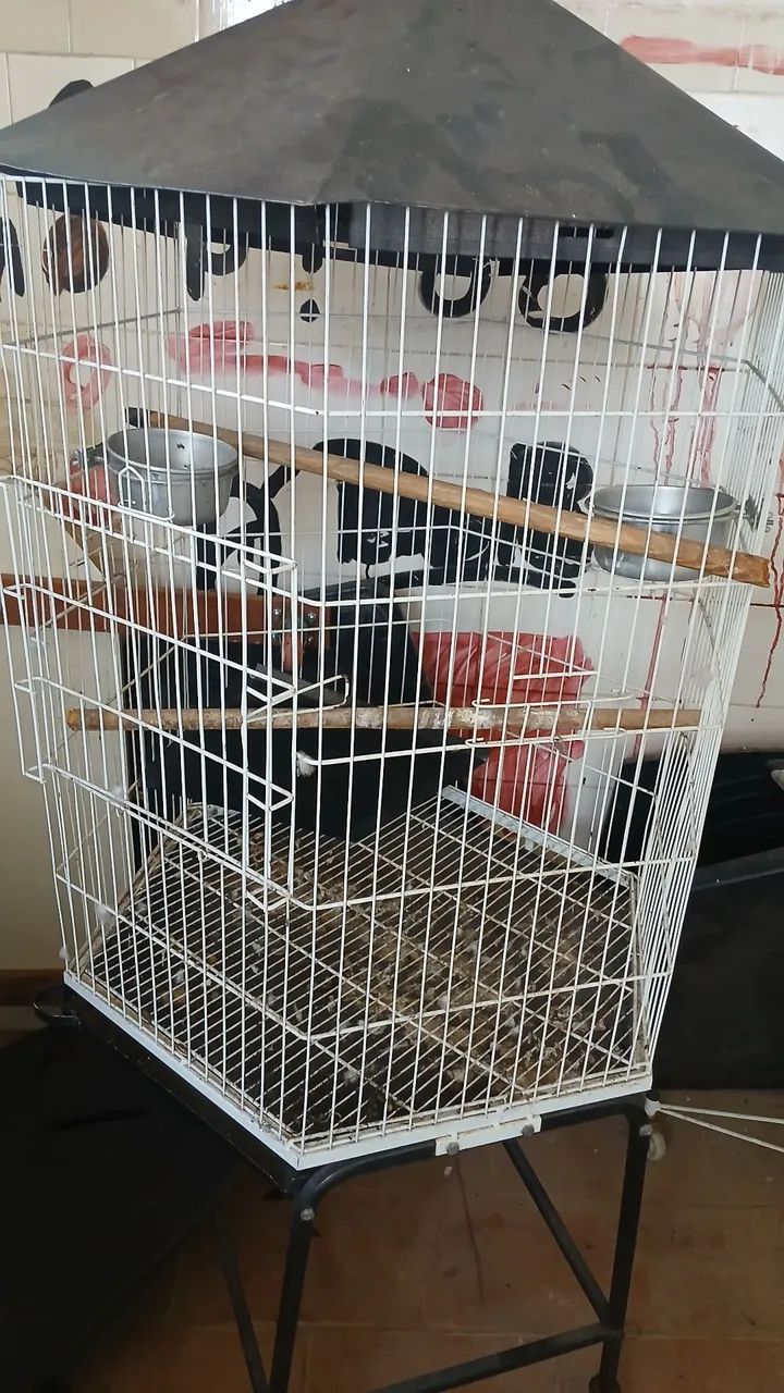 Gaiola de papagaio grande